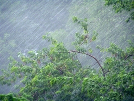Рязанцев предупредили о ливневых дождях и сильном ветре