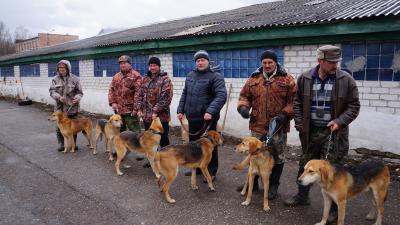 В Шацке прошла выводка охотничьих собак