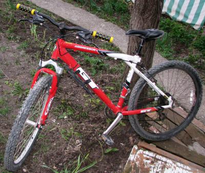 Жительницу Рязанского района лишили велосипеда