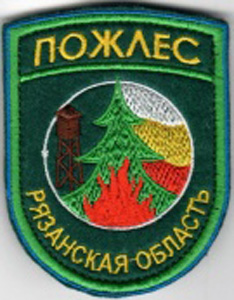 Рязанские лесные пожарные обрели новую эмблему на форме