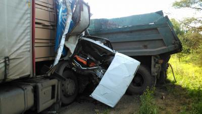 В Клепиковском районе произошло столкновение трёх грузовиков и трёх легковушек, есть пострадавшие