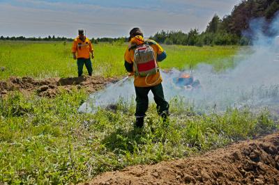 На Рязанщине улучшат качество работы добровольных лесных пожарных