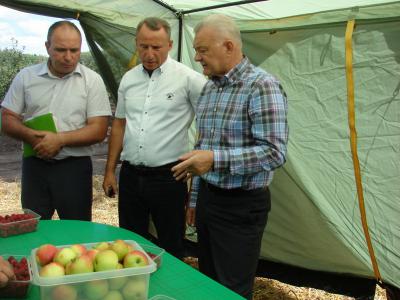 Олег Ковалёв предложит усилить господдержку садоводства на федеральном уровне