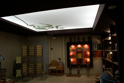 «Новый вид»: Натяжные потолки из светопрозрачной плёнки