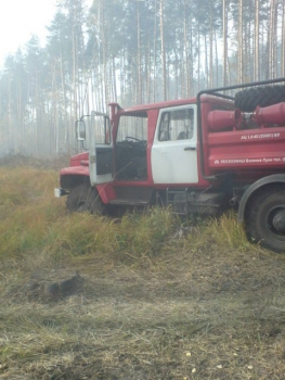 В рязанских лесах за воскресенье возникло сразу два пожара