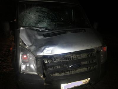 На рязанском участке М6 микроавтобус «Ford» сбил мужчину