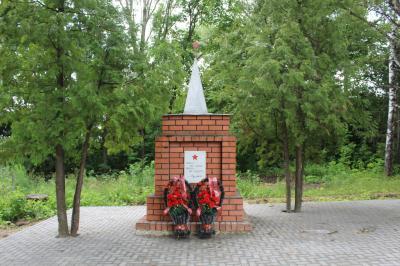 В Скопинском районе исправят памятник воинам, который не нравится жителям