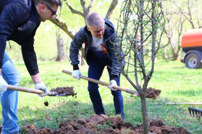 В яблоневом саду Скорбященского мемориала Рязани стало на 18 деревьев больше