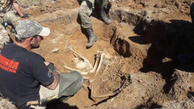 Близ Ржева обнаружены останки рязанского воина