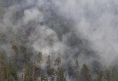 Дым от рязанских лесных пожаров добрался до Тамбовской области