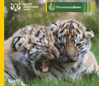 Россельхозбанк: Выпущена кредитная карта в поддержку амурских тигров