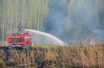 Органы лесного хозяйства Рязанской области скрывали информацию о пожарах