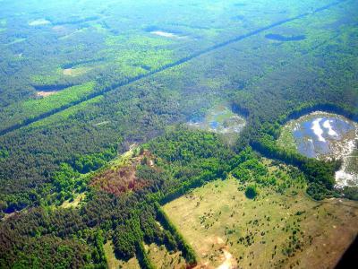 В Рязанской области лесных пожаров не обнаружено