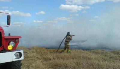 В Сараевском районе на поле сгорела пшеница