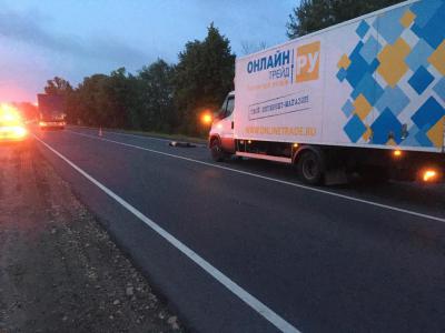 В Путятинском районе грузовик задавил местного жителя