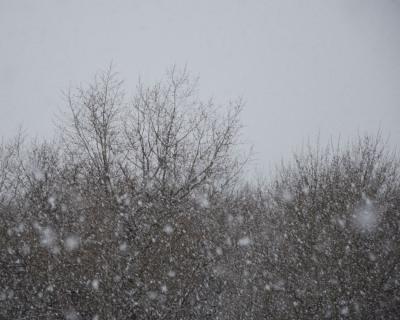 В Рязанском регионе слегка потеплеет