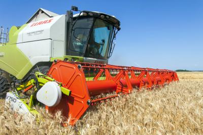 В Челябинской области уже намолотили 500 тысяч тонн зерна. 83