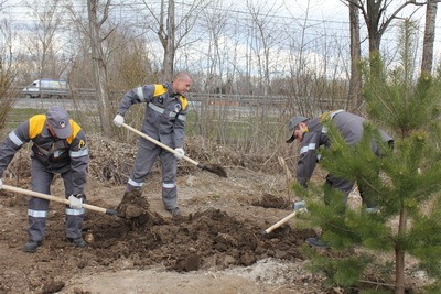 РНПК выстроила зеленую изгородь в посёлке Турлатово