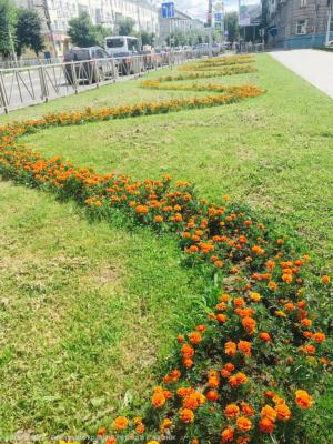 В Рязани продолжают сажать «Цветы для любимого города!»