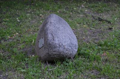 «Сад камней» в Наташкином парке Рязани сохранят