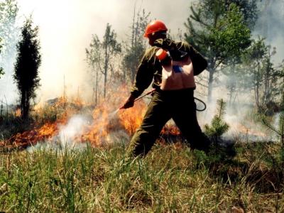 Рязанские лесные пожарные провели штабные тренировки