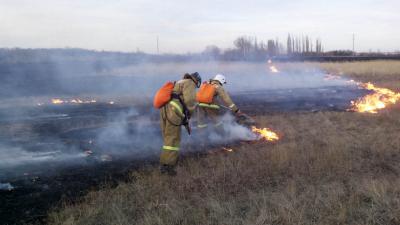 За пару дней в Кораблинском районе сгорело пять гектаров травы