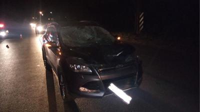 Ford Kuga насмерть задавил мужчину на Ряжском шоссе