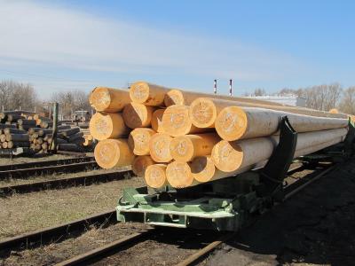 Николаю Любимову представили перспективы производства в Рязани пропитанной древесины