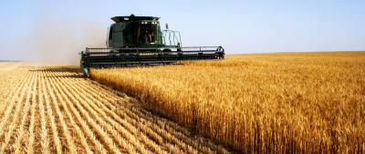 В бюджете Рязанской области выделены допсредства на субсидии аграриям