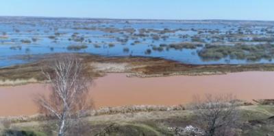 В рязанском озере обнаружено 30-кратное превышение уровня железа, цинка и свинца