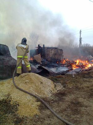 Пожарные не спасли дом и сарай в Спасском районе