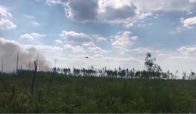 В Рязанской области площадь лесного пожара составляет 71 гектар