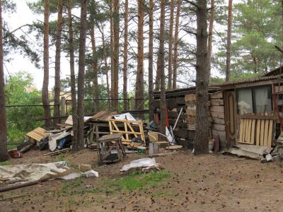 Жители Рязани обратили внимание властей на беспорядок в солотчинском лесу