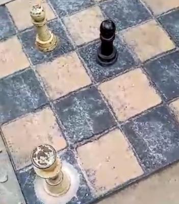 Рязанского медведя-шахматиста вернули в игру