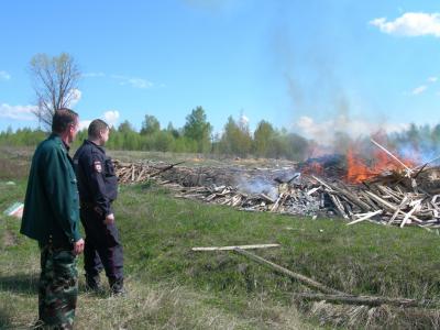 Под Касимовым несанкционированно сжигали отходы деревообработки