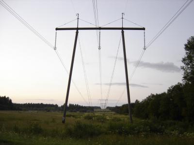 В Кораблинском районе поймали ночных «резчиков» электропроводов
