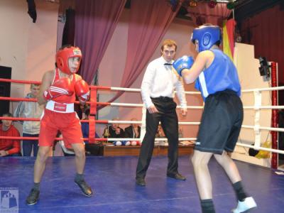 Юные боксёры сразились на открытом турнире в Старожилово