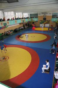 В Рязани стартовал чемпионат России по борьбе самбо среди студентов