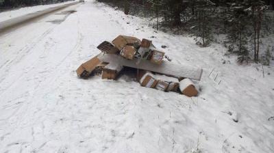 На дороге под Рязанью нашли 14 коробок ртутных ламп