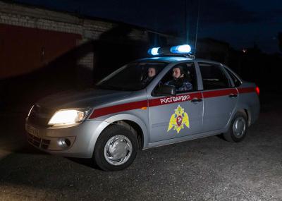 В Новомичуринске росгвардейцы задержали пьяную автоледи