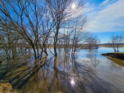 Рязанцы публикуют фотографии разливов местных рек и озёр