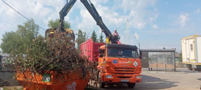 В Сасово продолжает развиваться программа «оранжевый бункер»