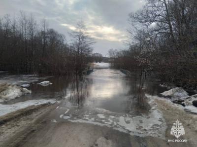 В Рязанской области подтопило ещё два низководных моста