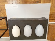 1000049288.jpg title=
