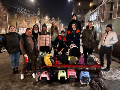 В Рязани волонтёры сняли с крыши магазина девять замёрзших кошек