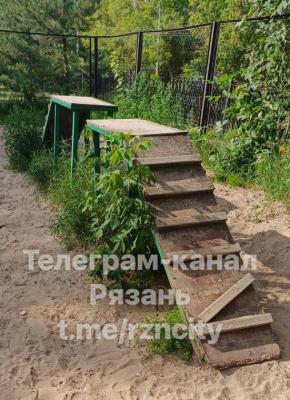 Рязанцы огорчены состоянием площадки для собак в парке Гагарина