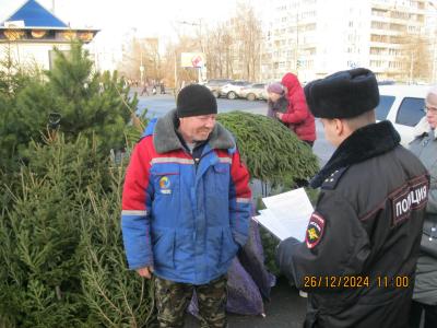 В Рязани проводят рейды по незаконным ёлочным базарам