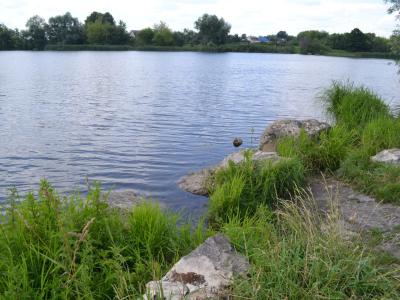 На водохранилище в Пронском районе погиб рыбак