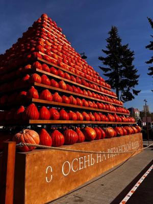 На Рязанской ВДНХ насчитали около 1000 тыкв