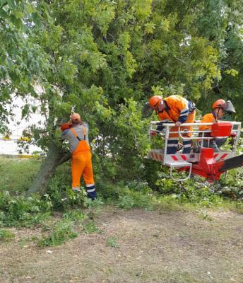 Одна женщина пострадала в Рязани во время урагана «Орхан»